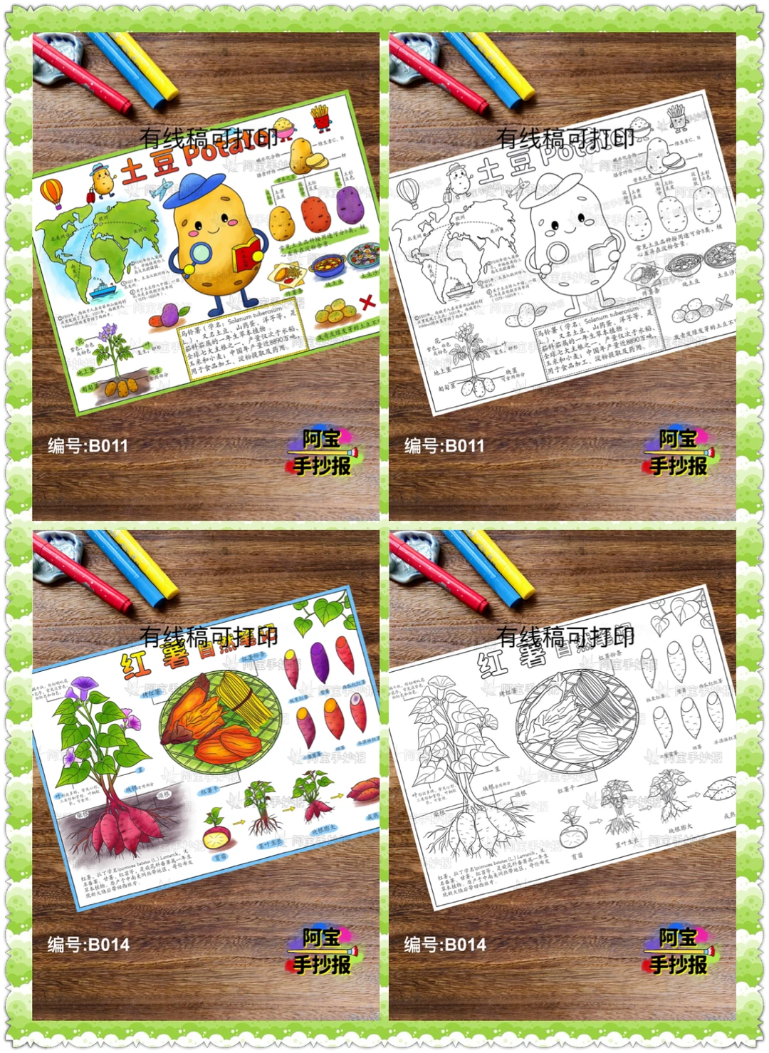 蔬菜水果类的自然笔记手抄报合集