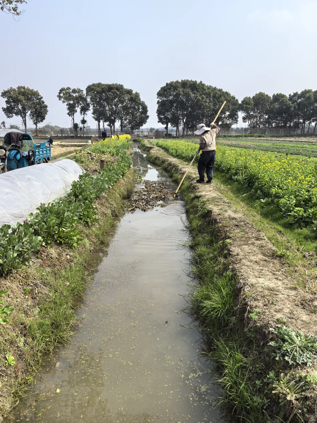 素然河道清洁日｜在池塘里捞到了鸭蛋?