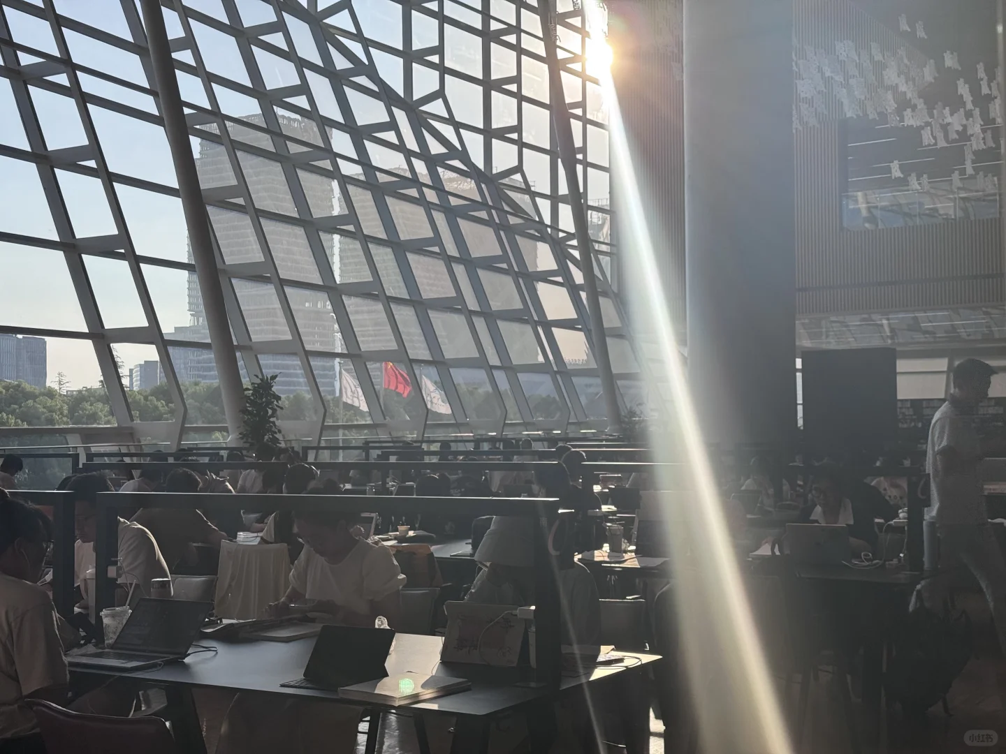 喜欢“阳光”的图书馆