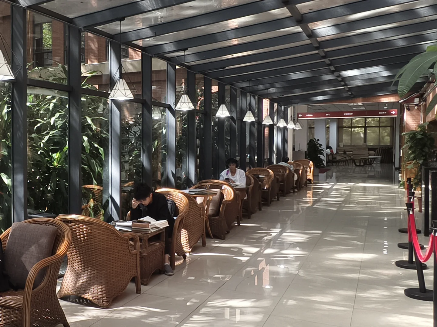 漫卷·象牙塔：中山大学 | 图书馆