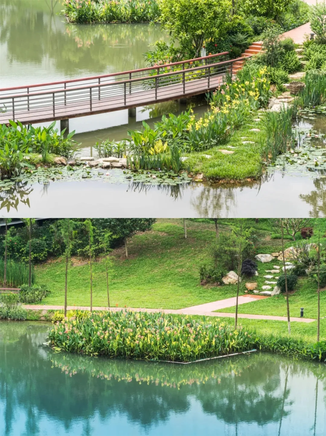 低本高效海绵方案：广东清远飞来峡海绵公园