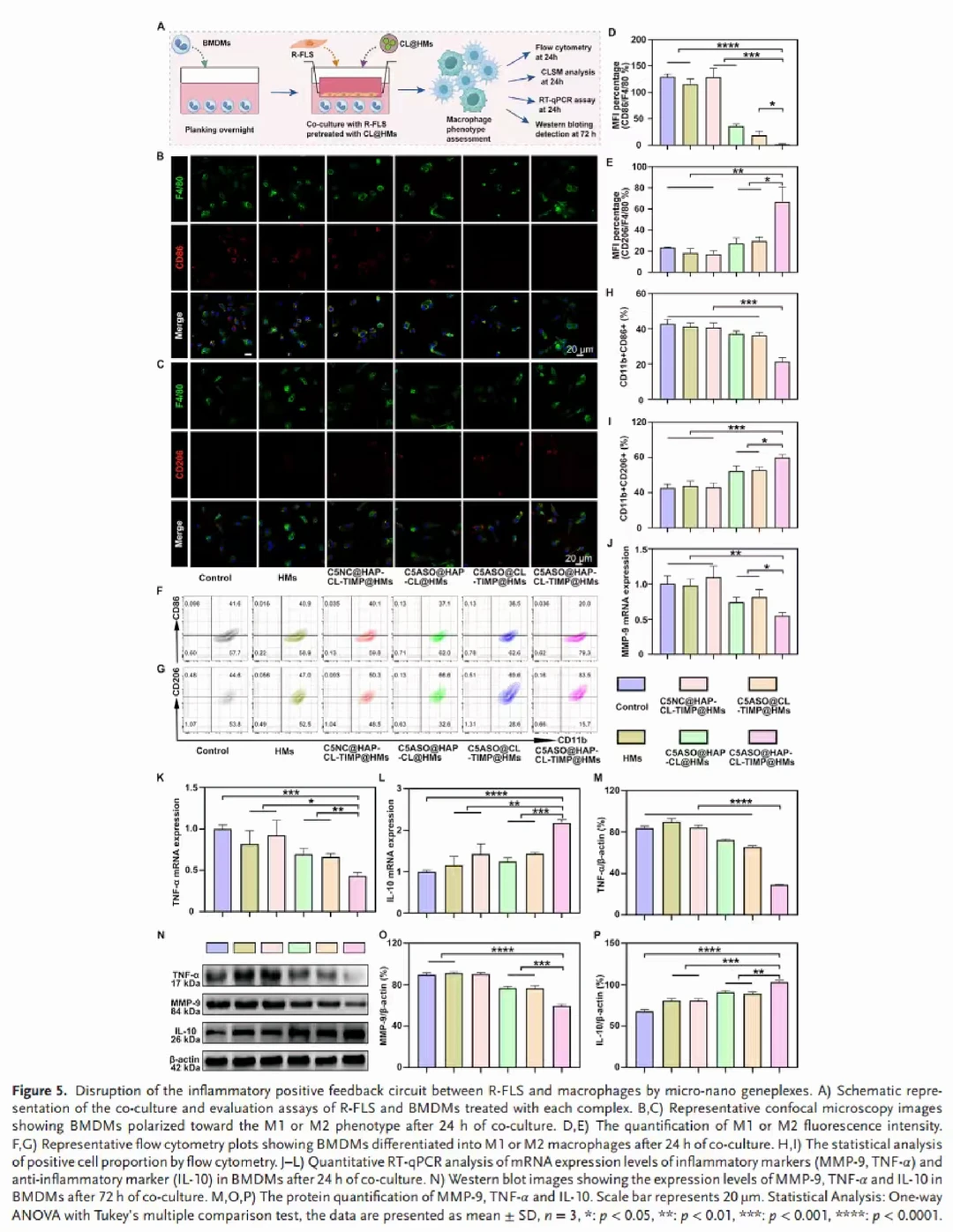 ?补体系统遇上“智能水弹”治疗RA