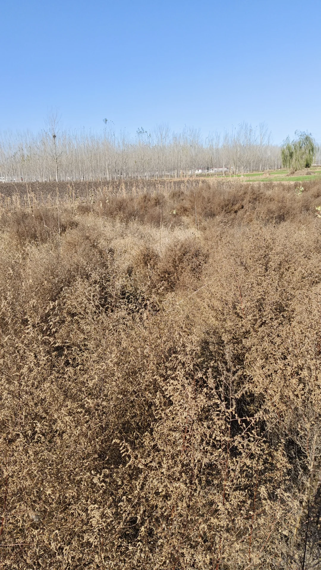 林学毕业后都在做什么？