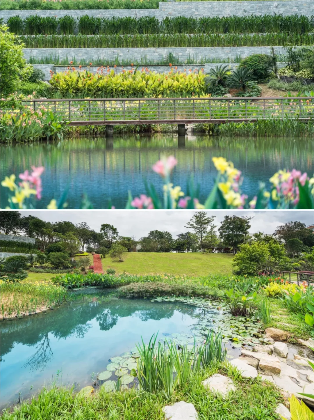 低本高效海绵方案：广东清远飞来峡海绵公园