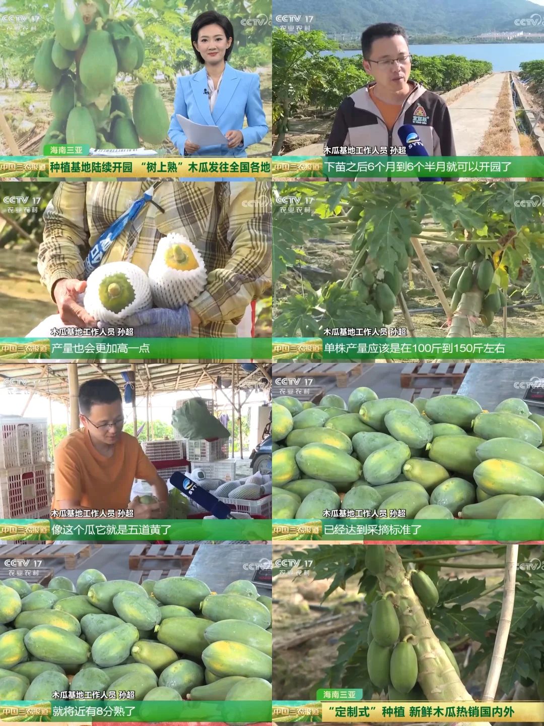 2025年11月28日农业新闻摘录。