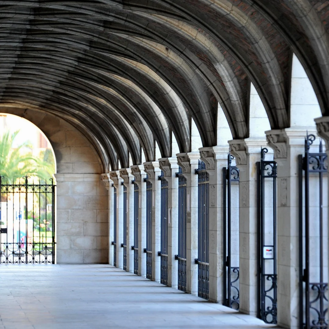 鲁汶必冲！87 米钟楼图书馆的文艺复兴风