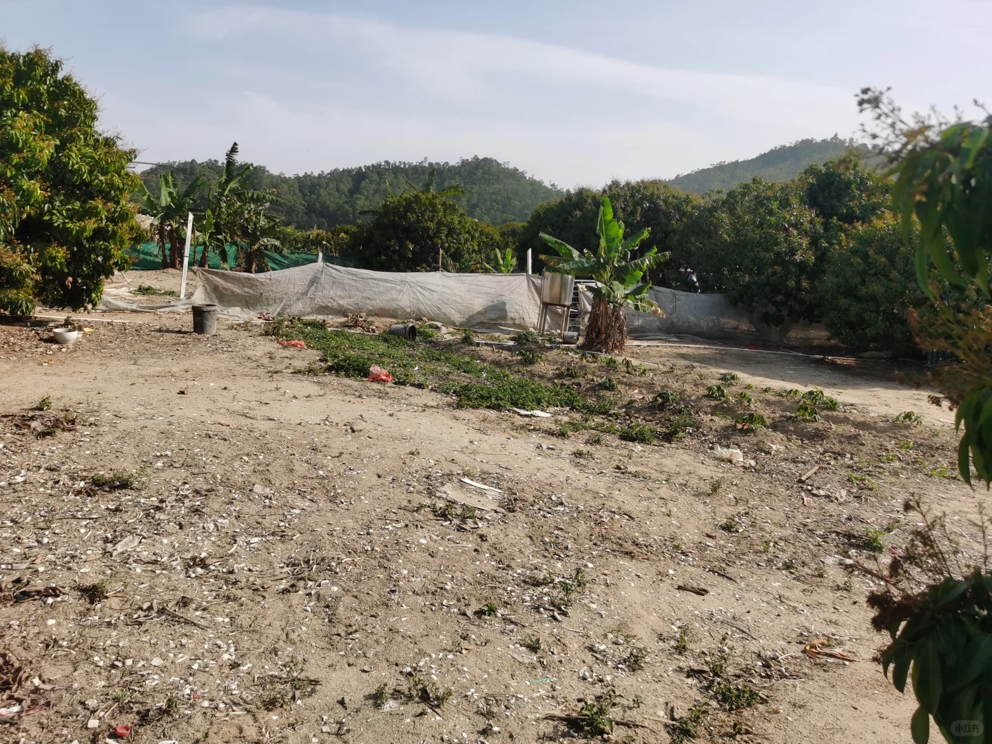 低成本养殖咋起步？2亩7000场地告诉你