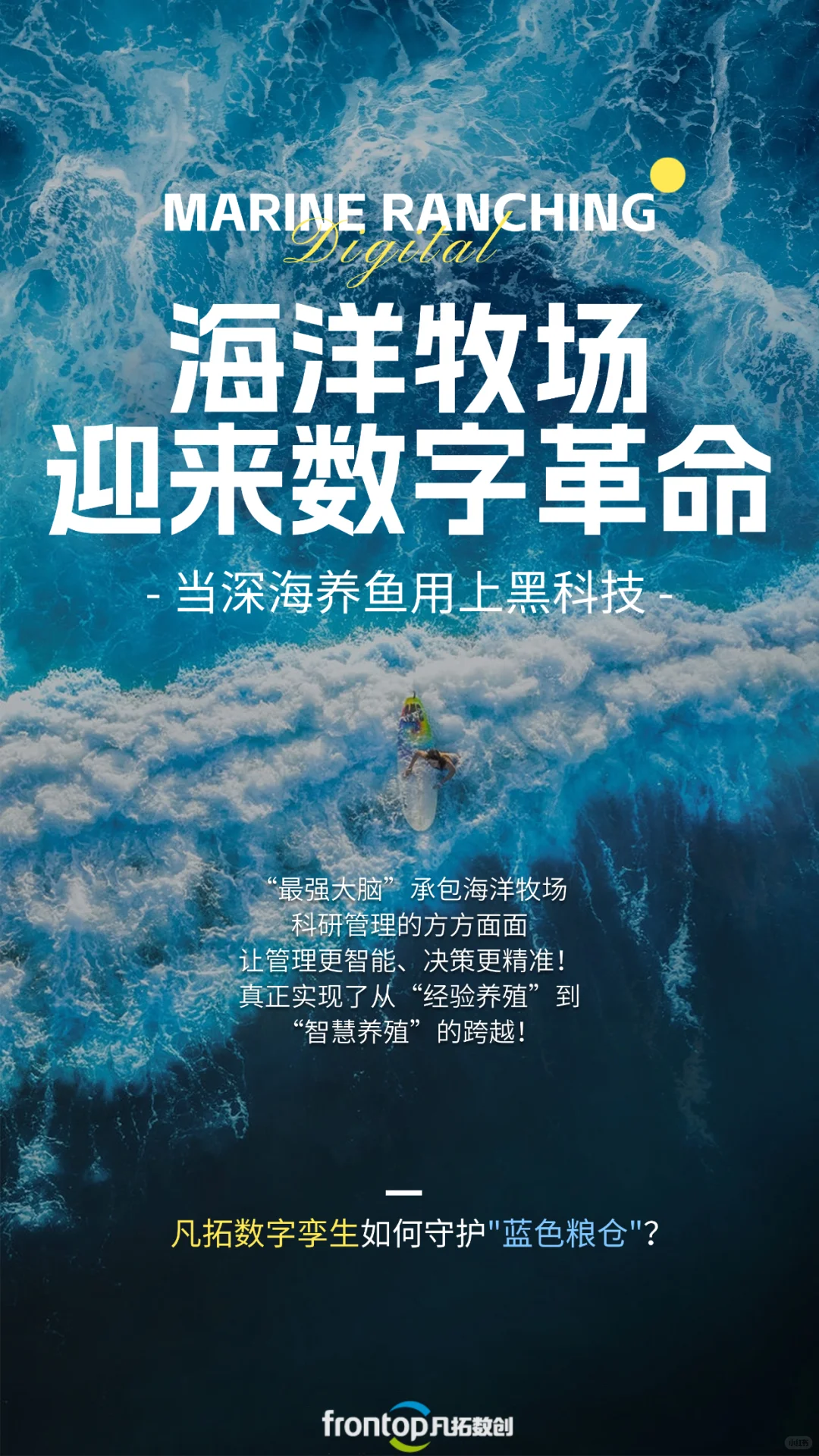 深海养鱼用上黑科技！数字孪生遇上海洋牧场