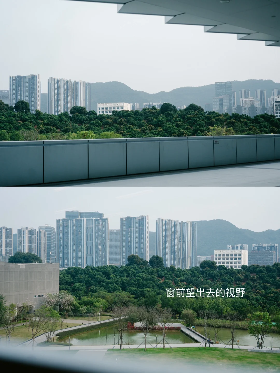 深圳大学丽湖校区中央图书馆?太美了！！