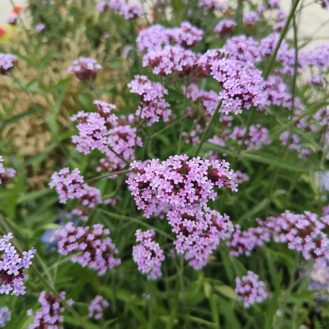 周末小记 Saturday with Girlfriend