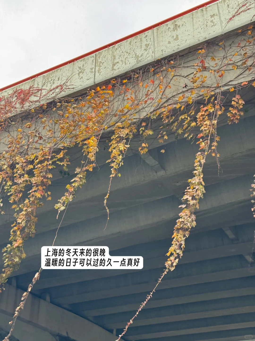 B端品牌营销人Q4都忙些什么？