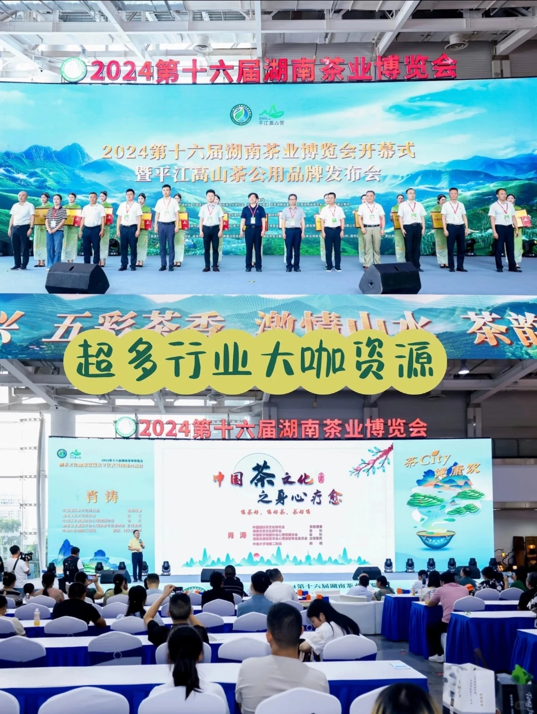 十八载茶韵深耕！2026湖南茶文化节招商启幕