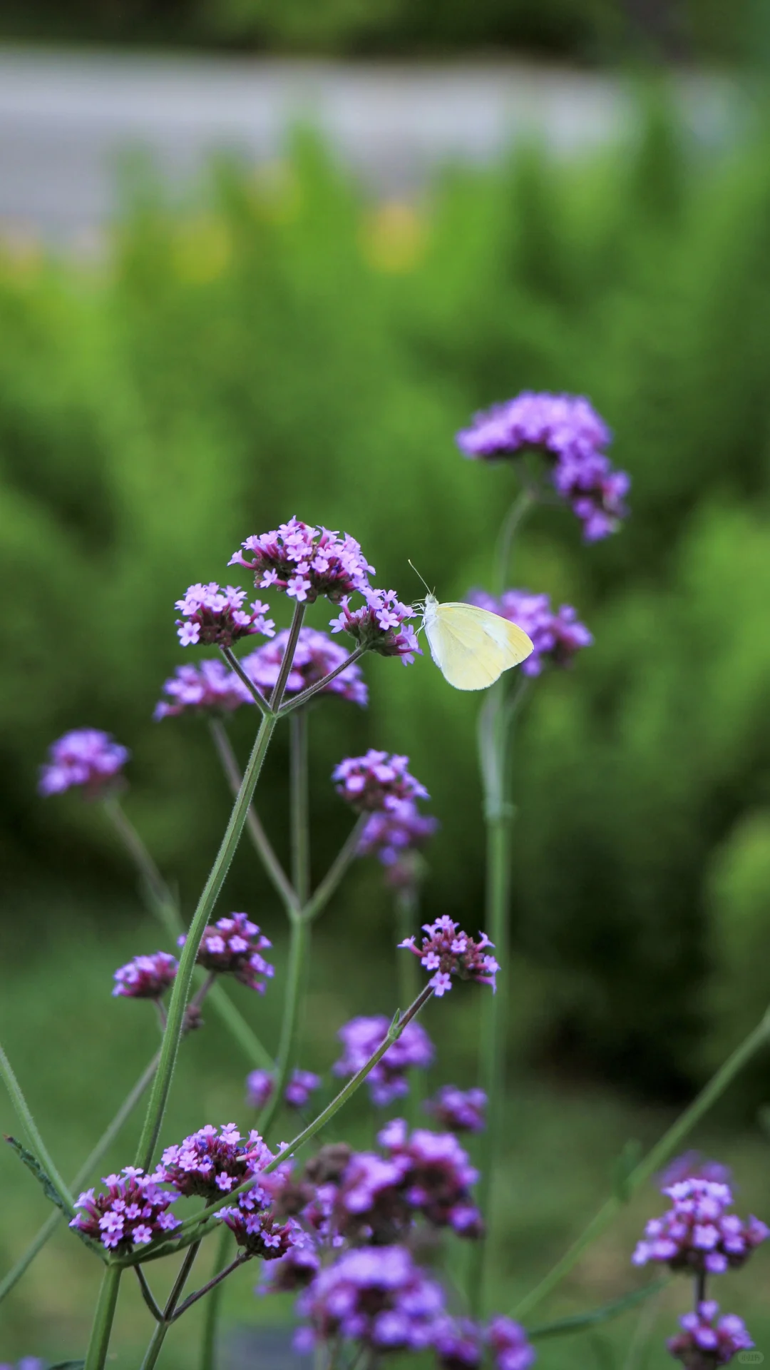 都去拍这个魔幻镜子?真是谁拍谁好看