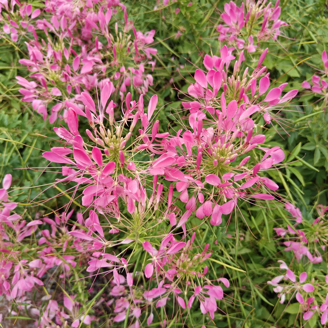 周末小记 Saturday with Girlfriend