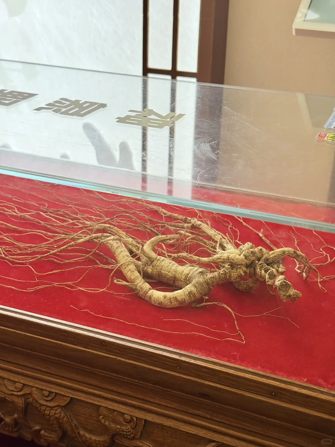 上海什么展？？还要我躺着看…?️??