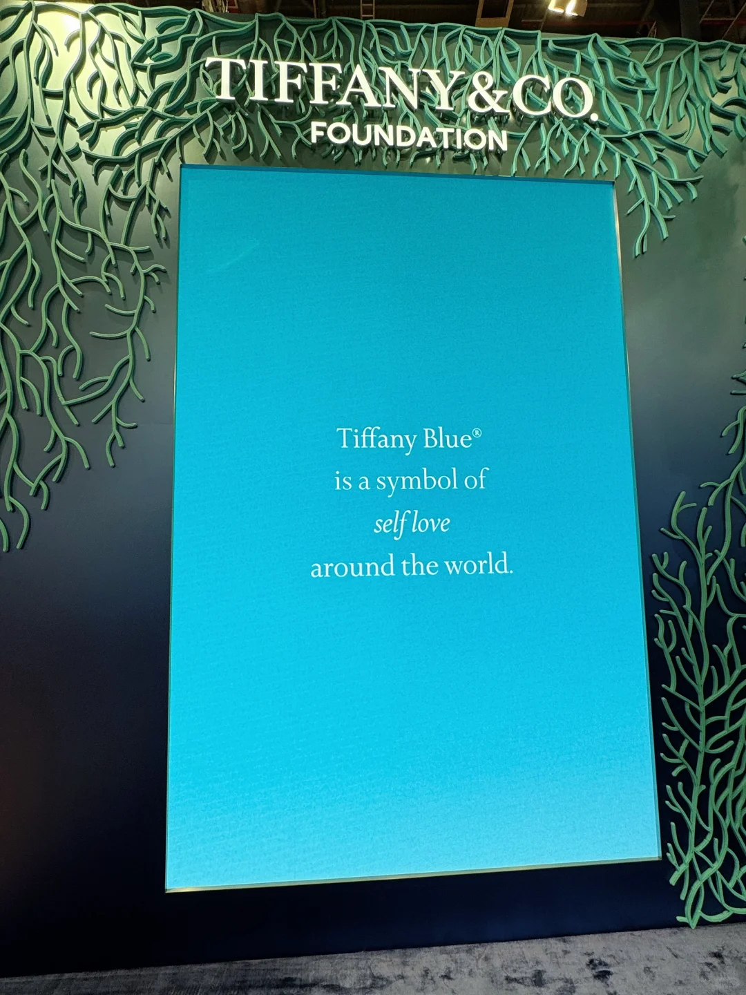 今日文案：看了个展?️