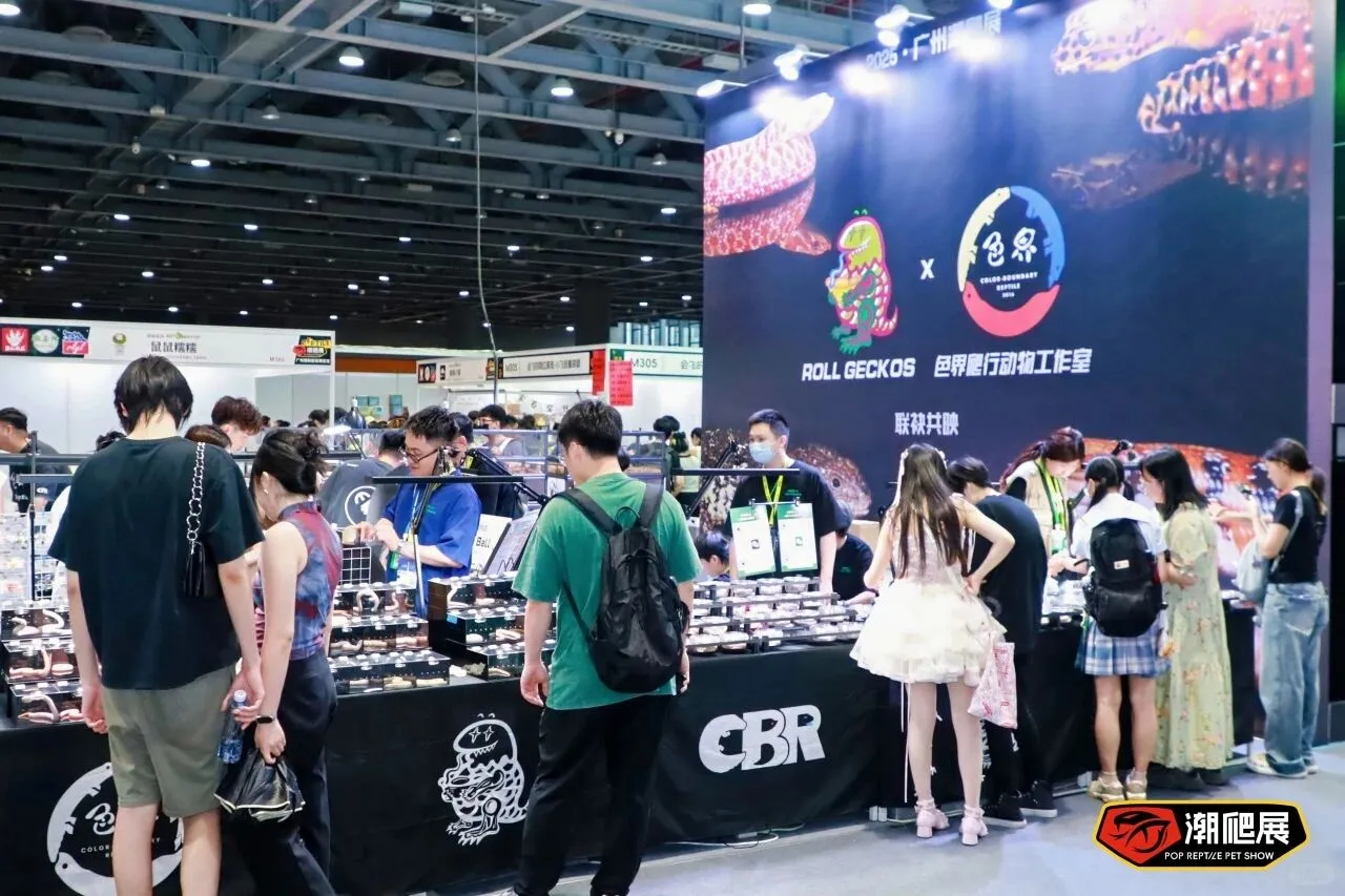 广州潮爬展战绩回顾，2026 精彩继续！