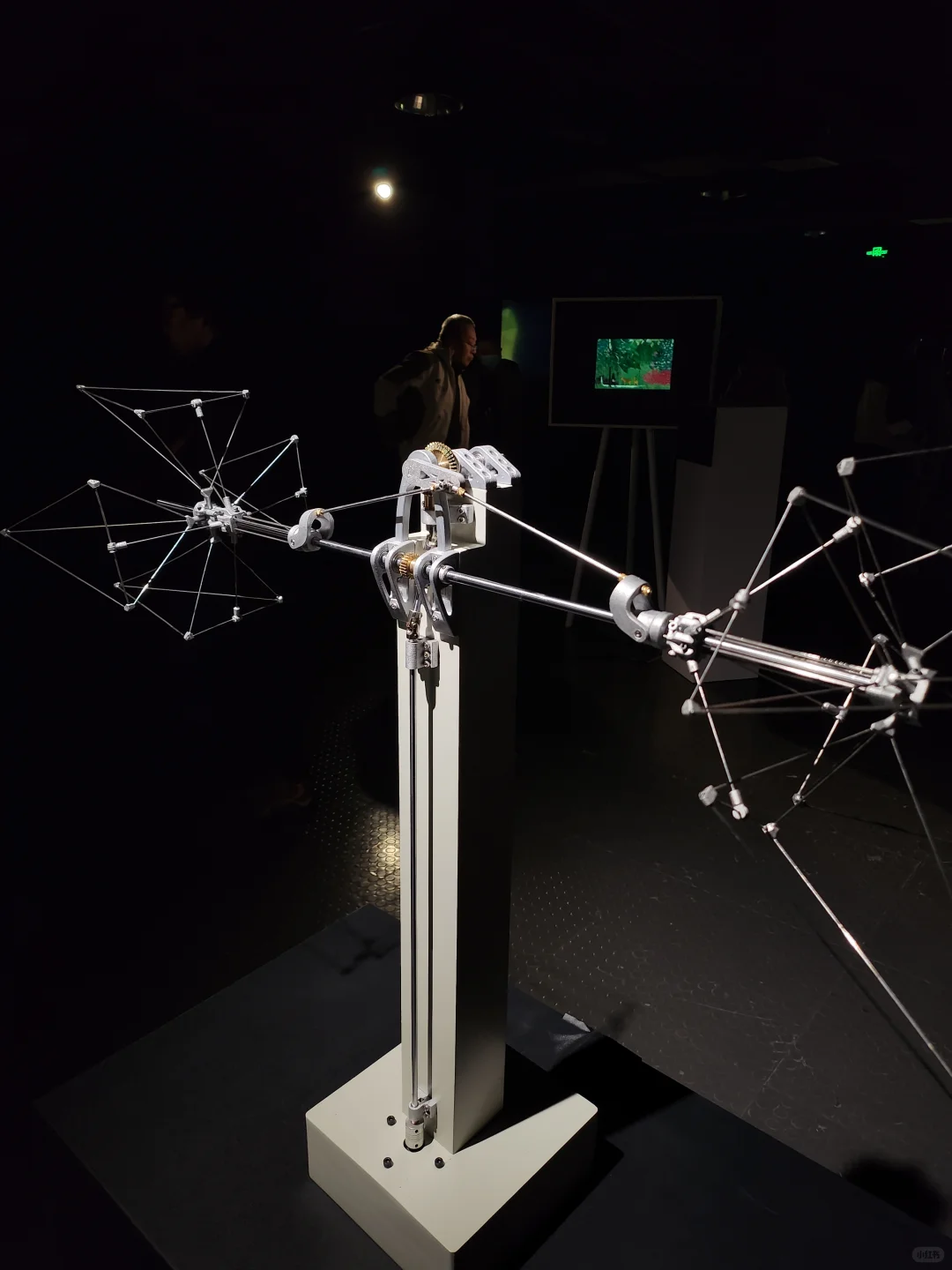 每天在天美很有趣?