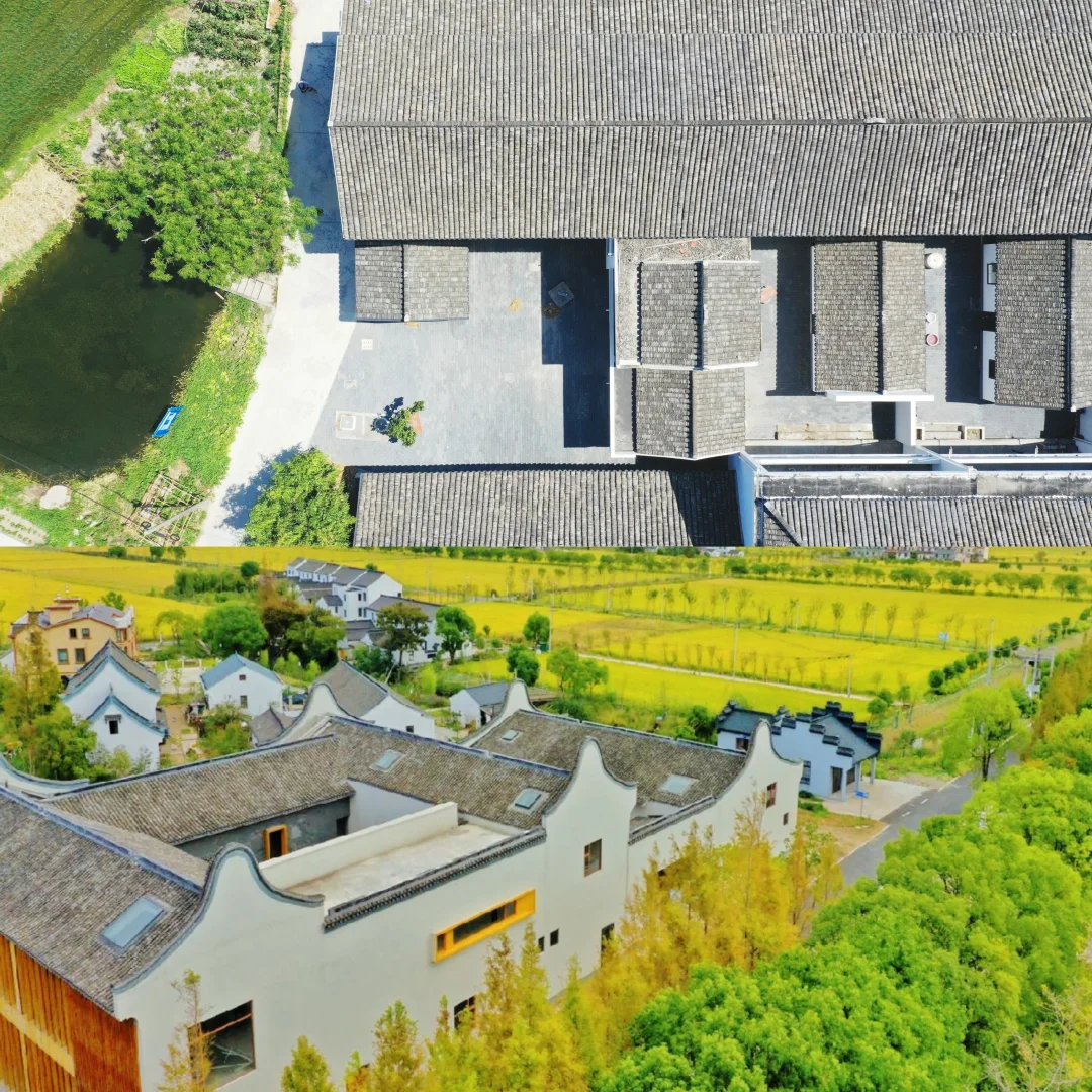 上海藏在稻田里的无界艺术聚落