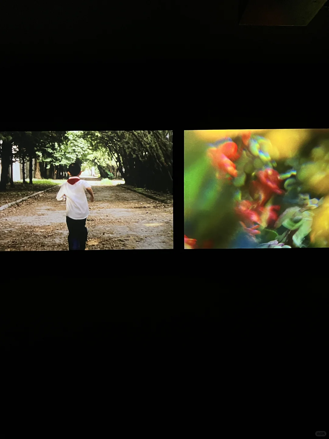 ?北京必看新展！别错过这个年度重磅展览！