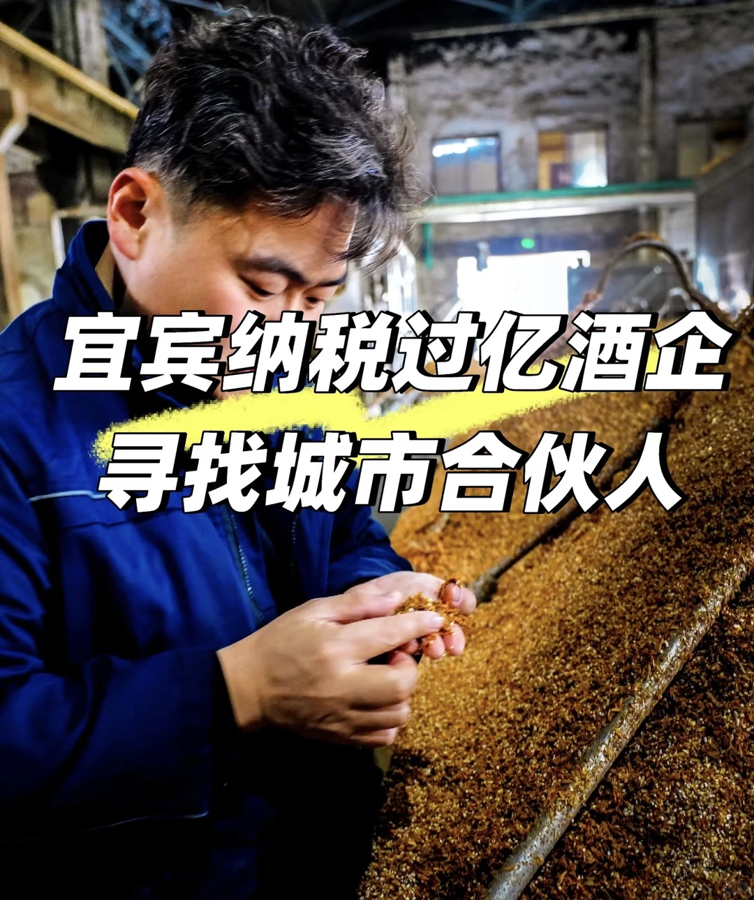 一年回本的散酒铺，宜宾第二大酒厂给你底气