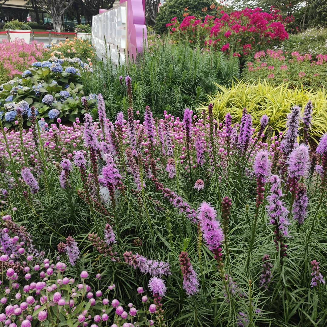 周末小记 Saturday with Girlfriend