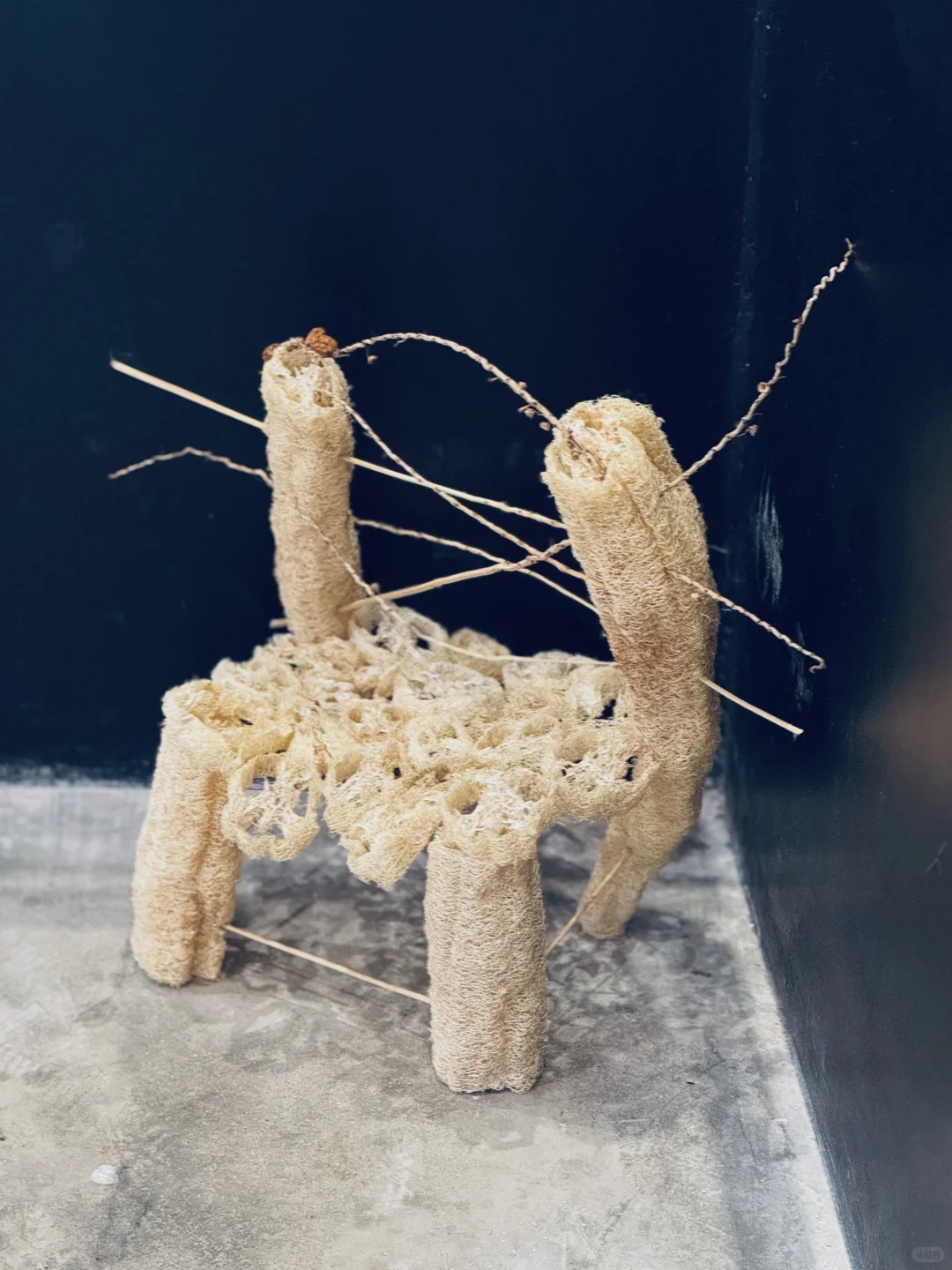 西岸艺博会?一天七馆跑断腿❗️（附攻略）