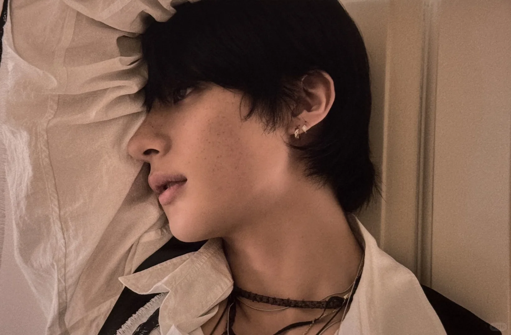 展览会Anton照片