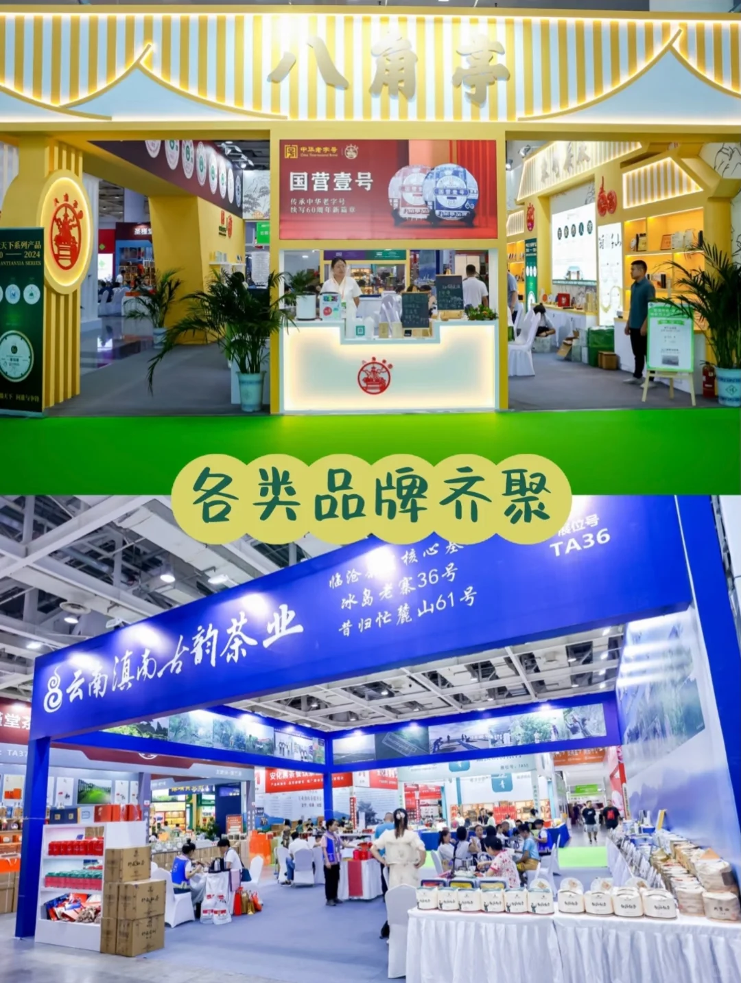 十八载茶韵深耕！2026湖南茶文化节招商启幕