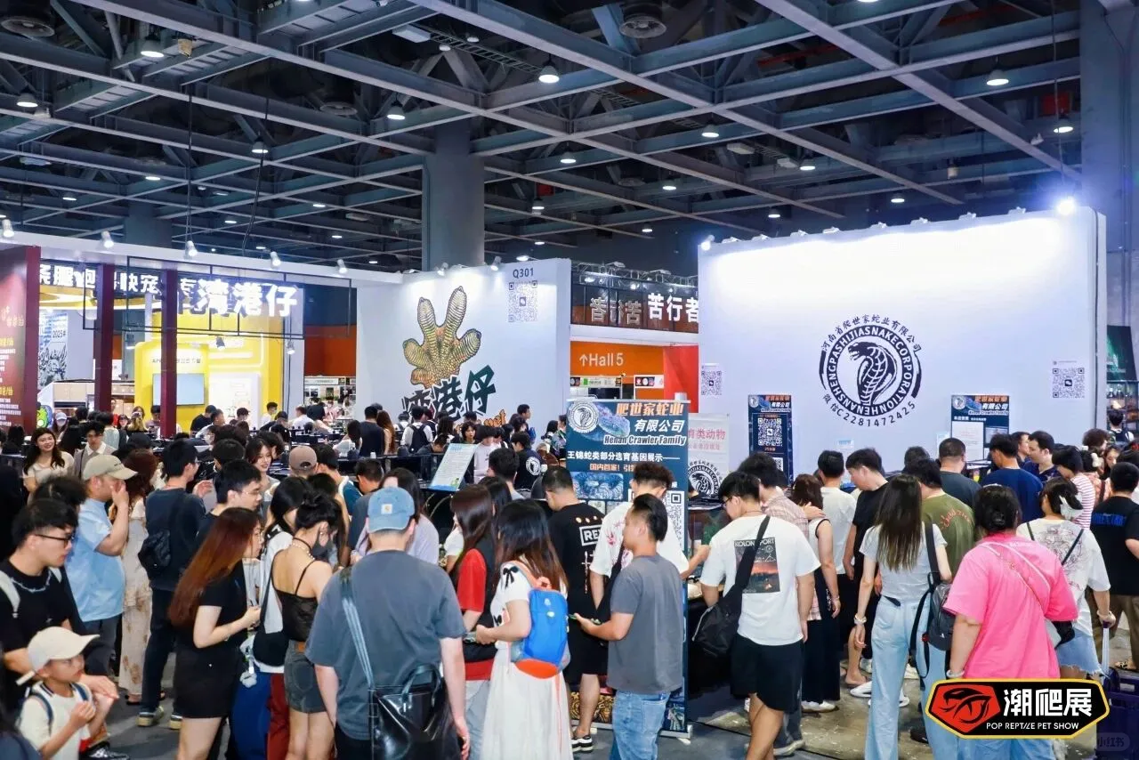 广州潮爬展战绩回顾，2026 精彩继续！