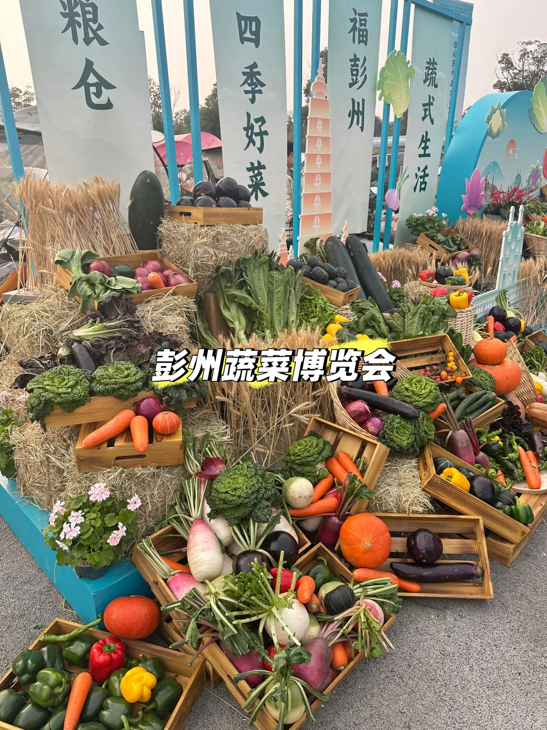 彭州蔬菜博览会