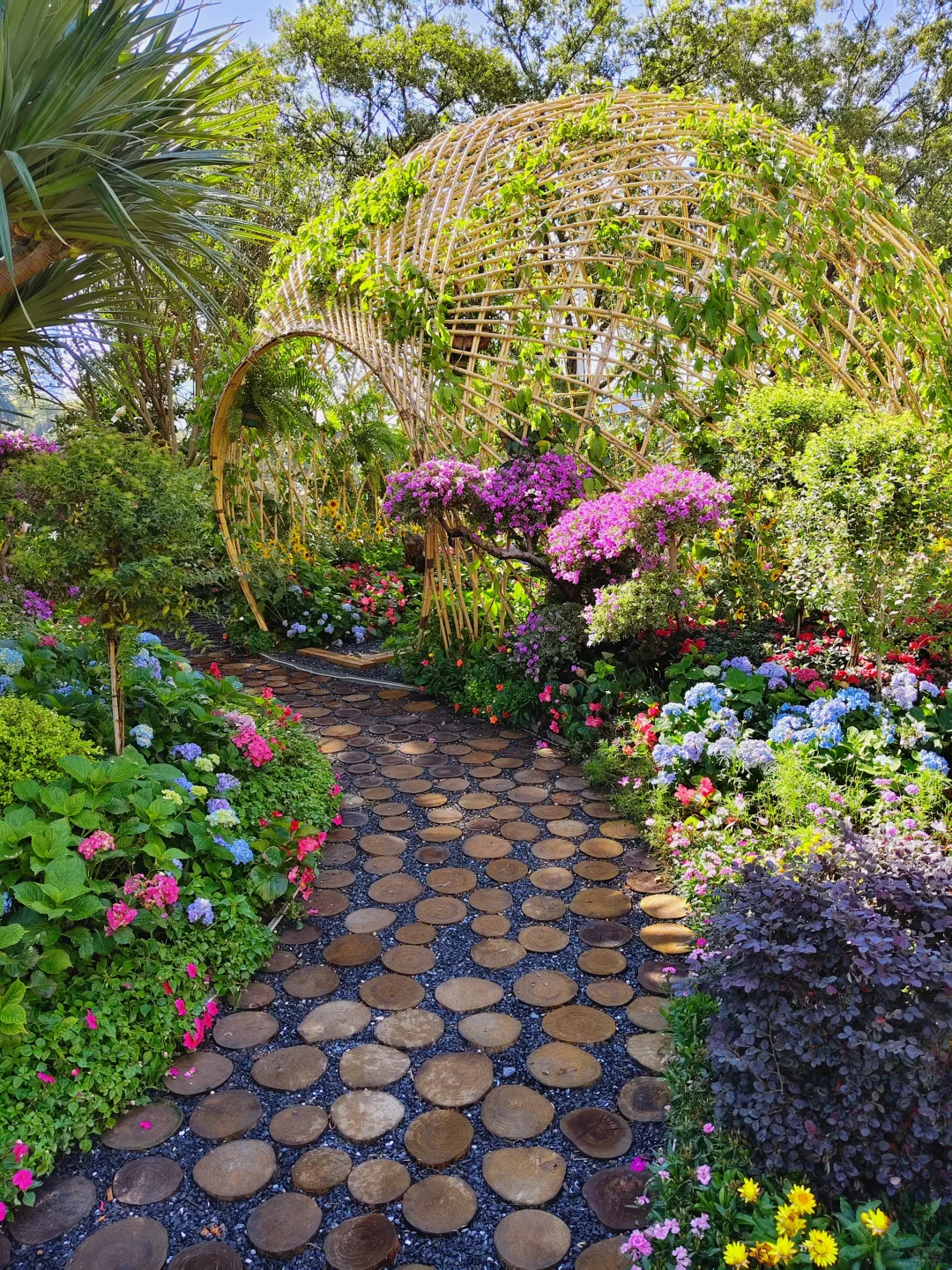 广州园博会 好多花花呀 拍照太美啦