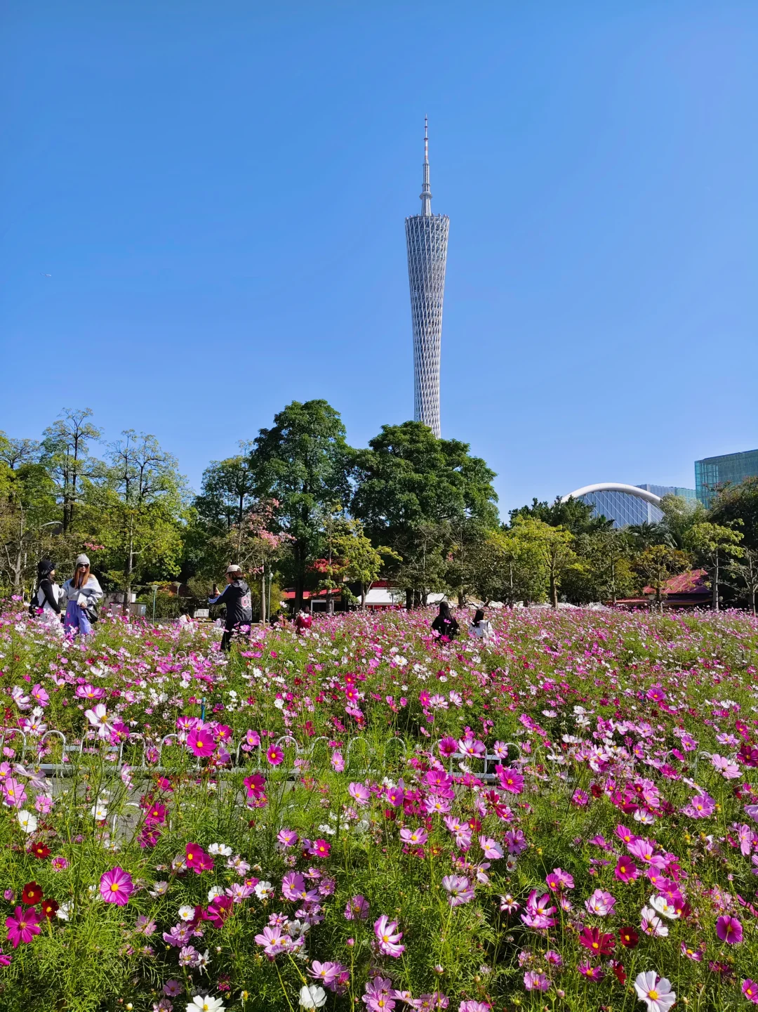 广州园博会 好多花花呀 拍照太美啦