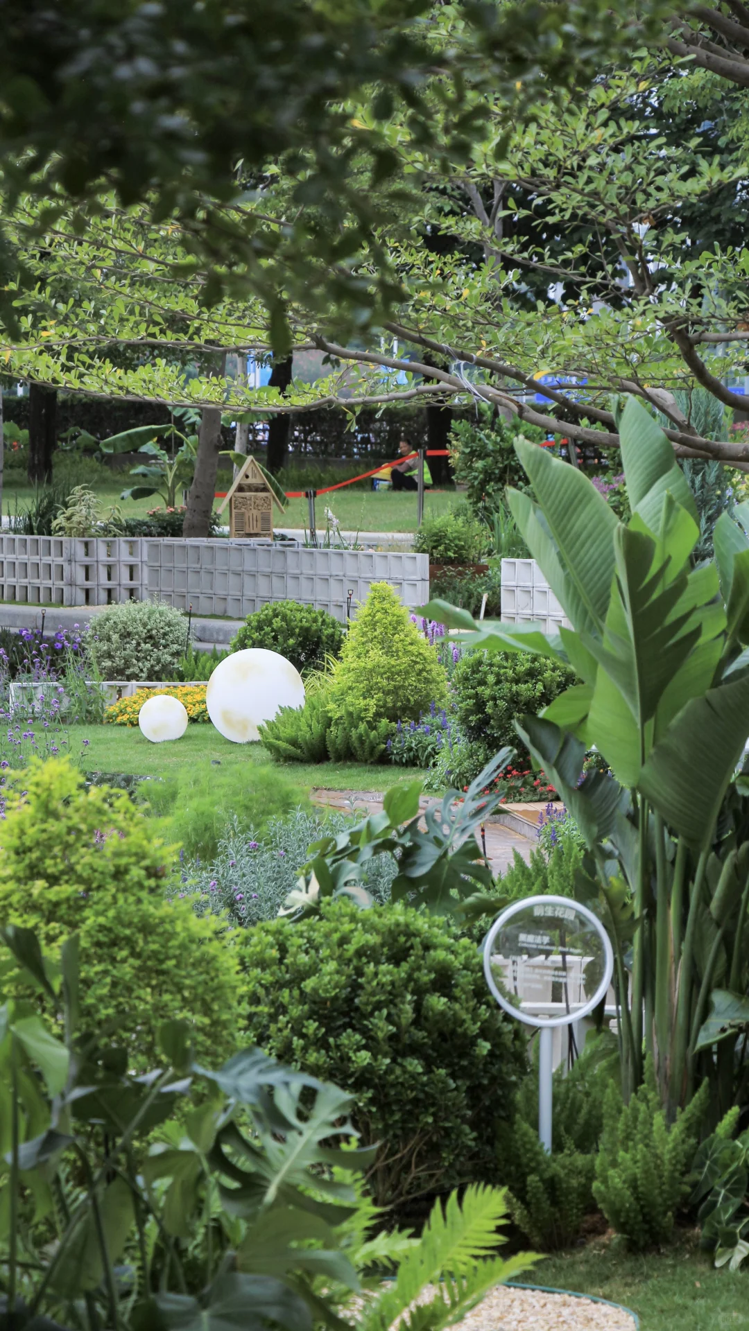 都去拍这个魔幻镜子?真是谁拍谁好看