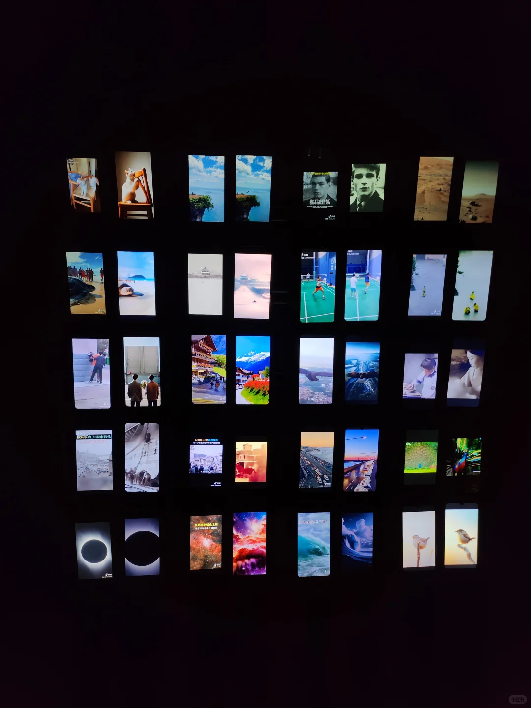 每天在天美很有趣?