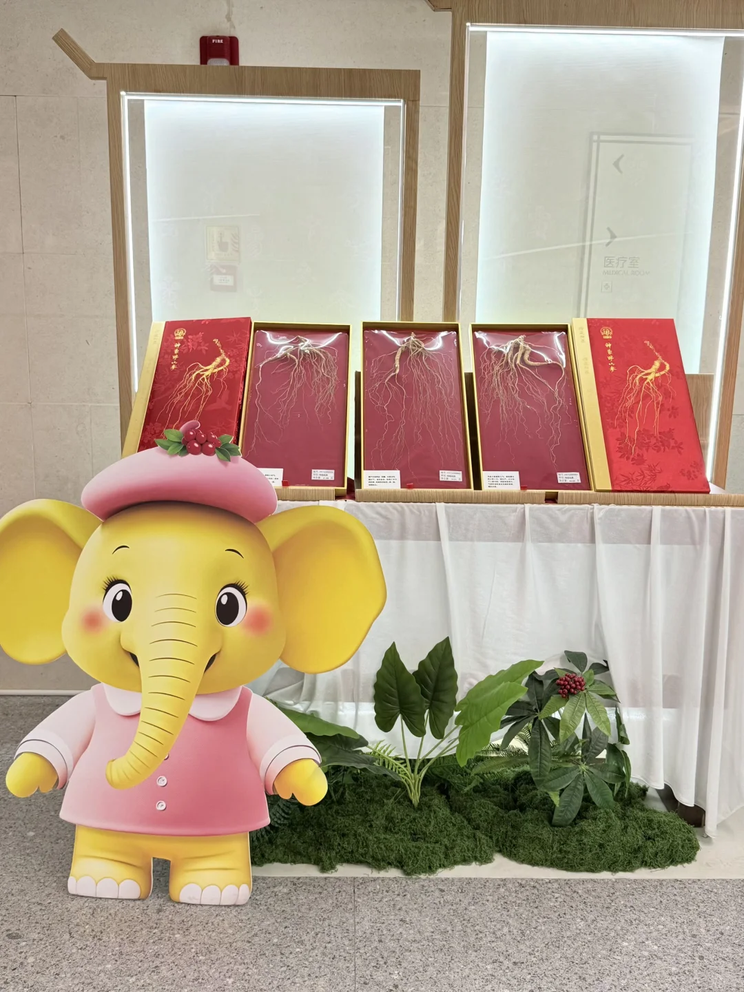 上海什么展？？还要我躺着看…?️??