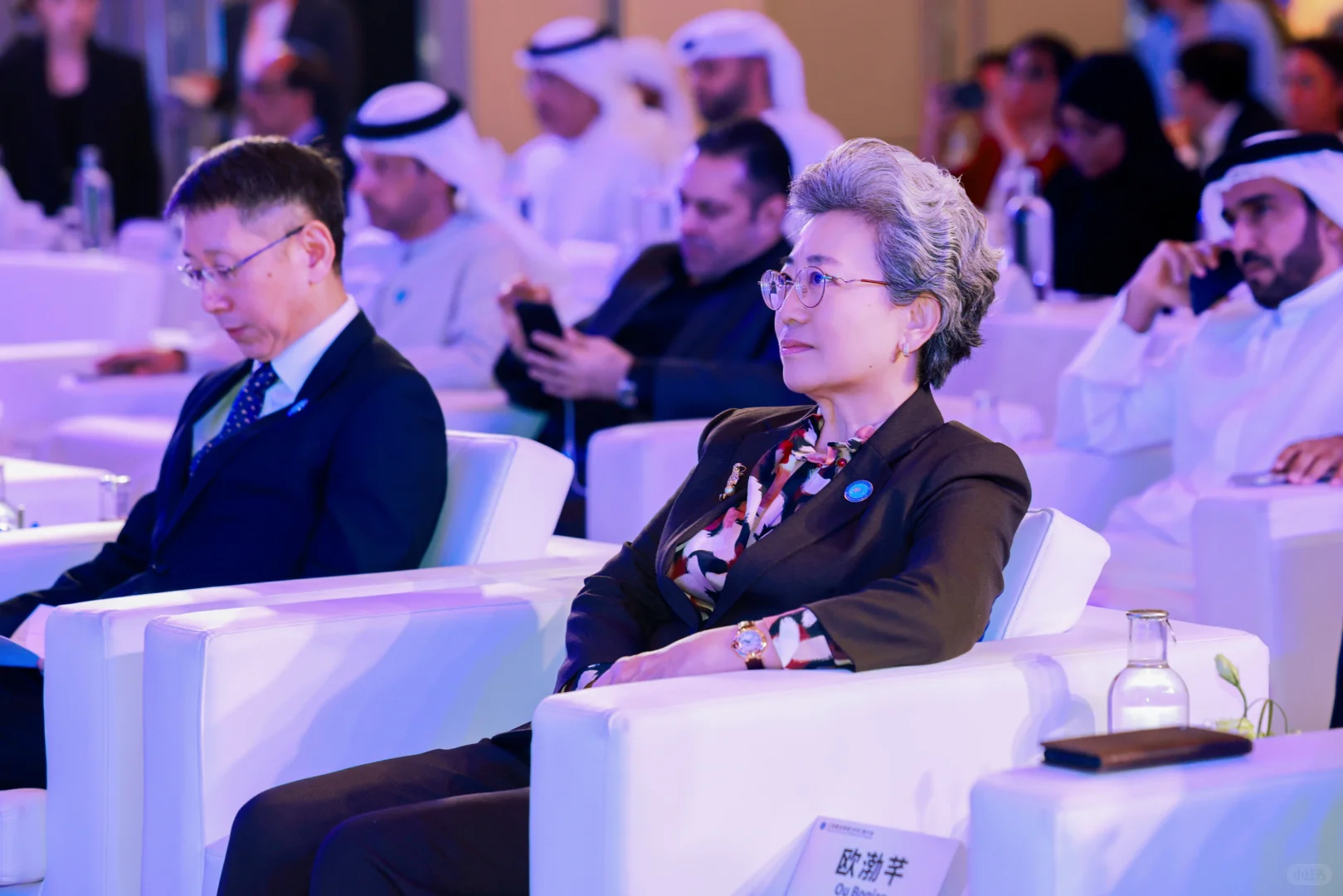 带你看迪拜100场活动｜江苏建设领域推介会