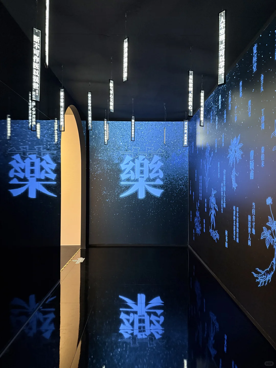 上海什么展？？还要我躺着看…?️??