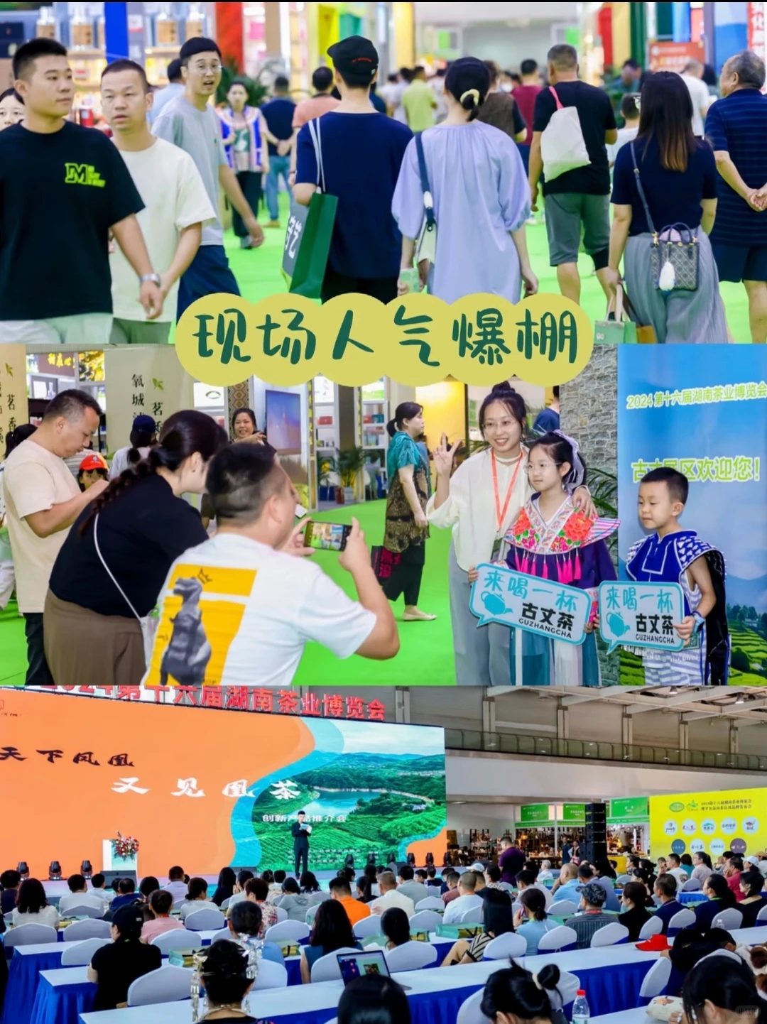 十八载茶韵深耕！2026湖南茶文化节招商启幕