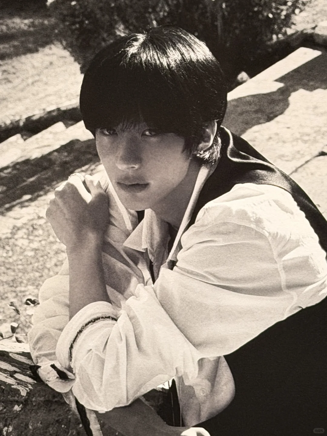 展览会Anton照片