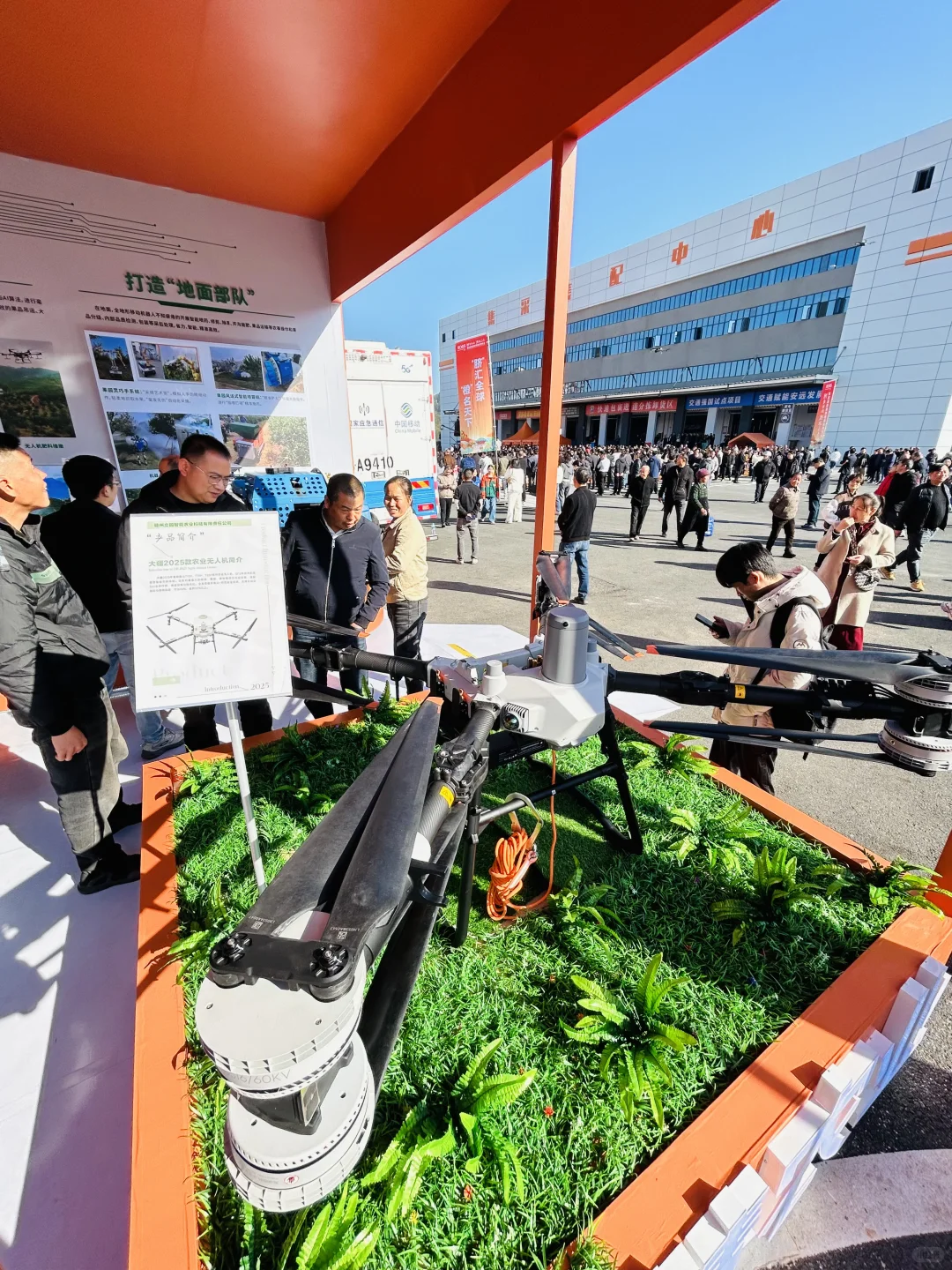 太好逛啦！脐橙博览会就像橙子主题游园会！