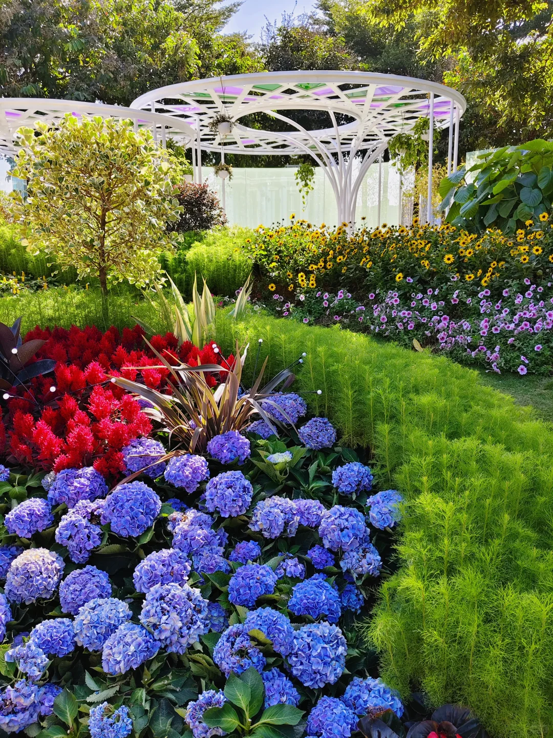 广州园博会 好多花花呀 拍照太美啦