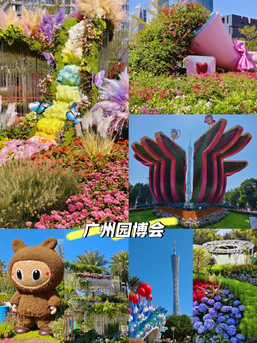 广州园博会 好多花花呀 拍照太美啦