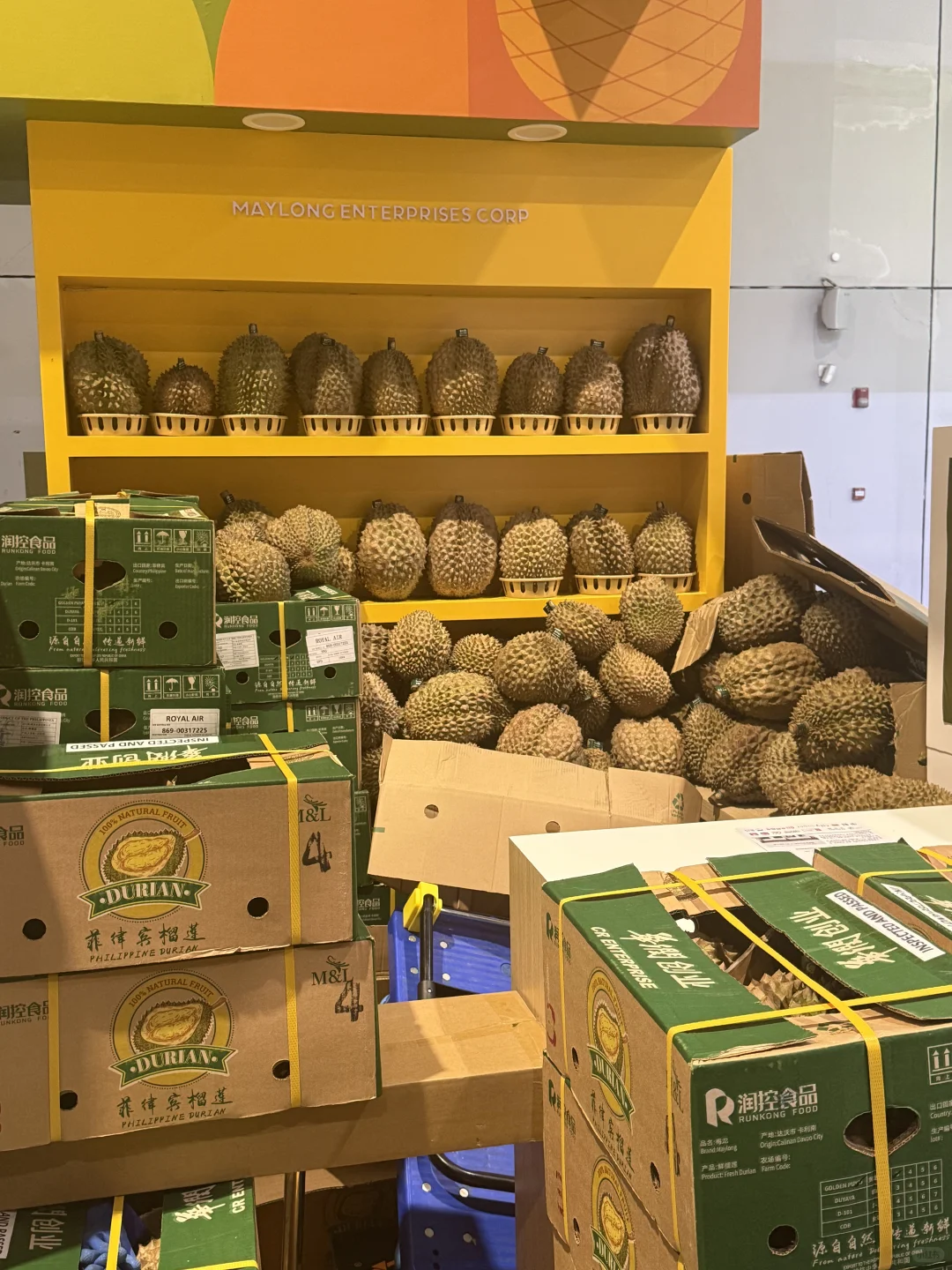 进博会来8.1菲律宾展团吃榴莲
