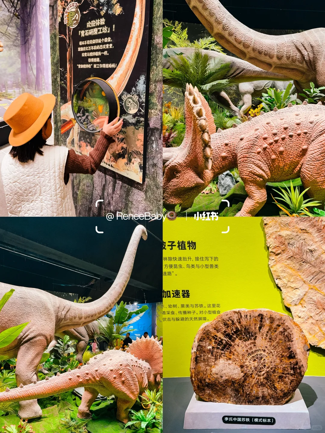 北京亲子看展✨11月值得看的9️⃣个展览合集?