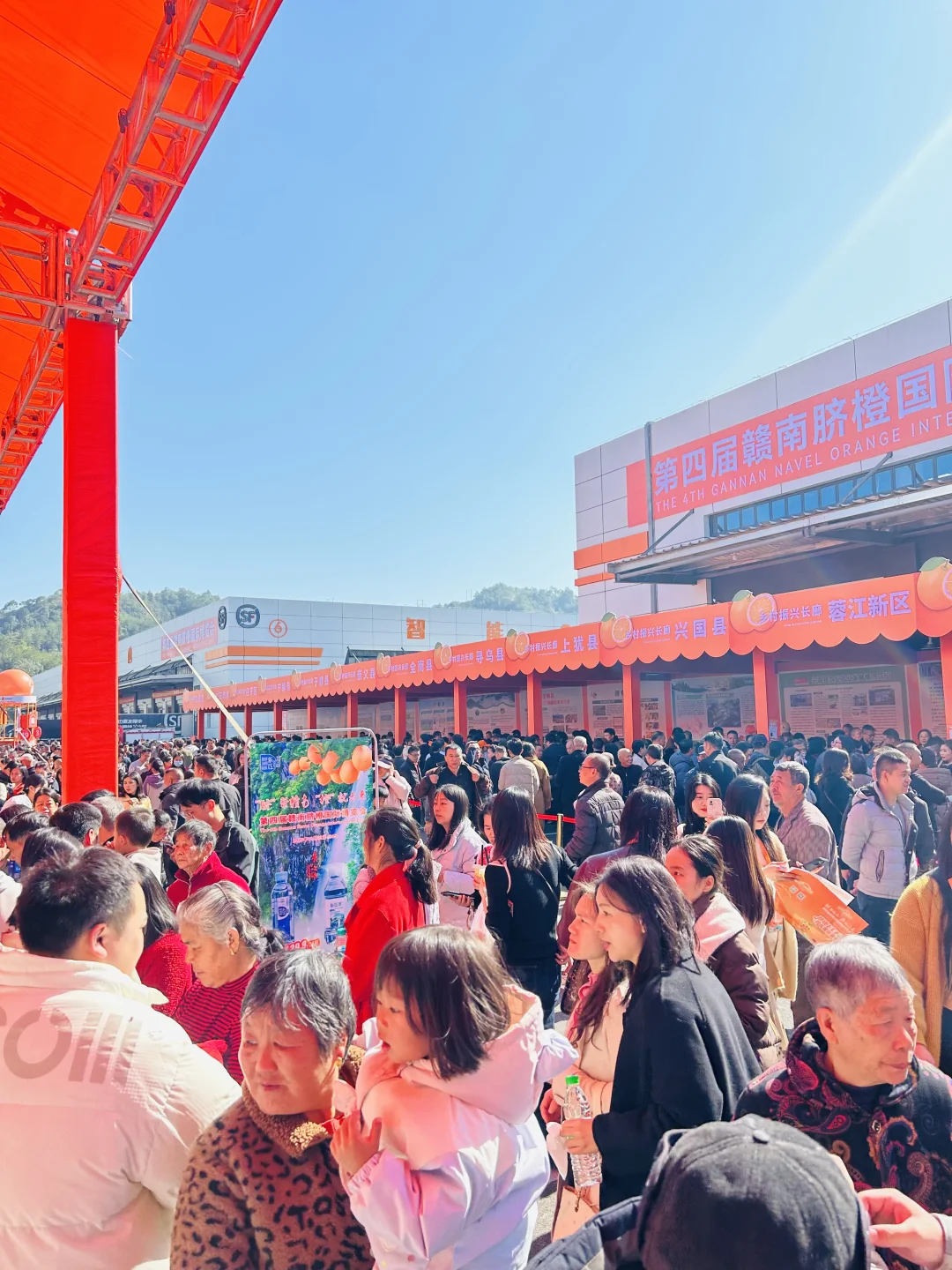 太好逛啦！脐橙博览会就像橙子主题游园会！