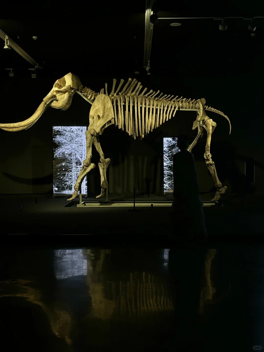 我宣布这是深圳本月蕞震撼的新展✨好多真迹