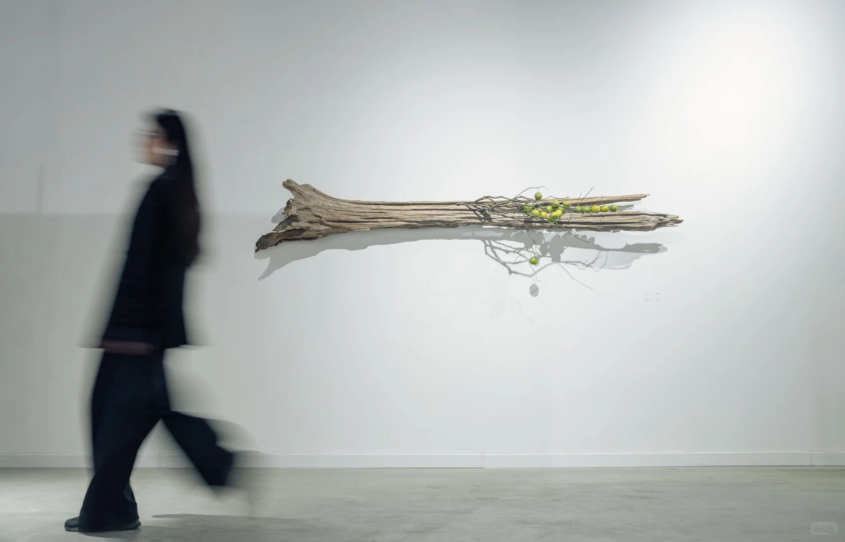 策展|草月当代装置艺术展