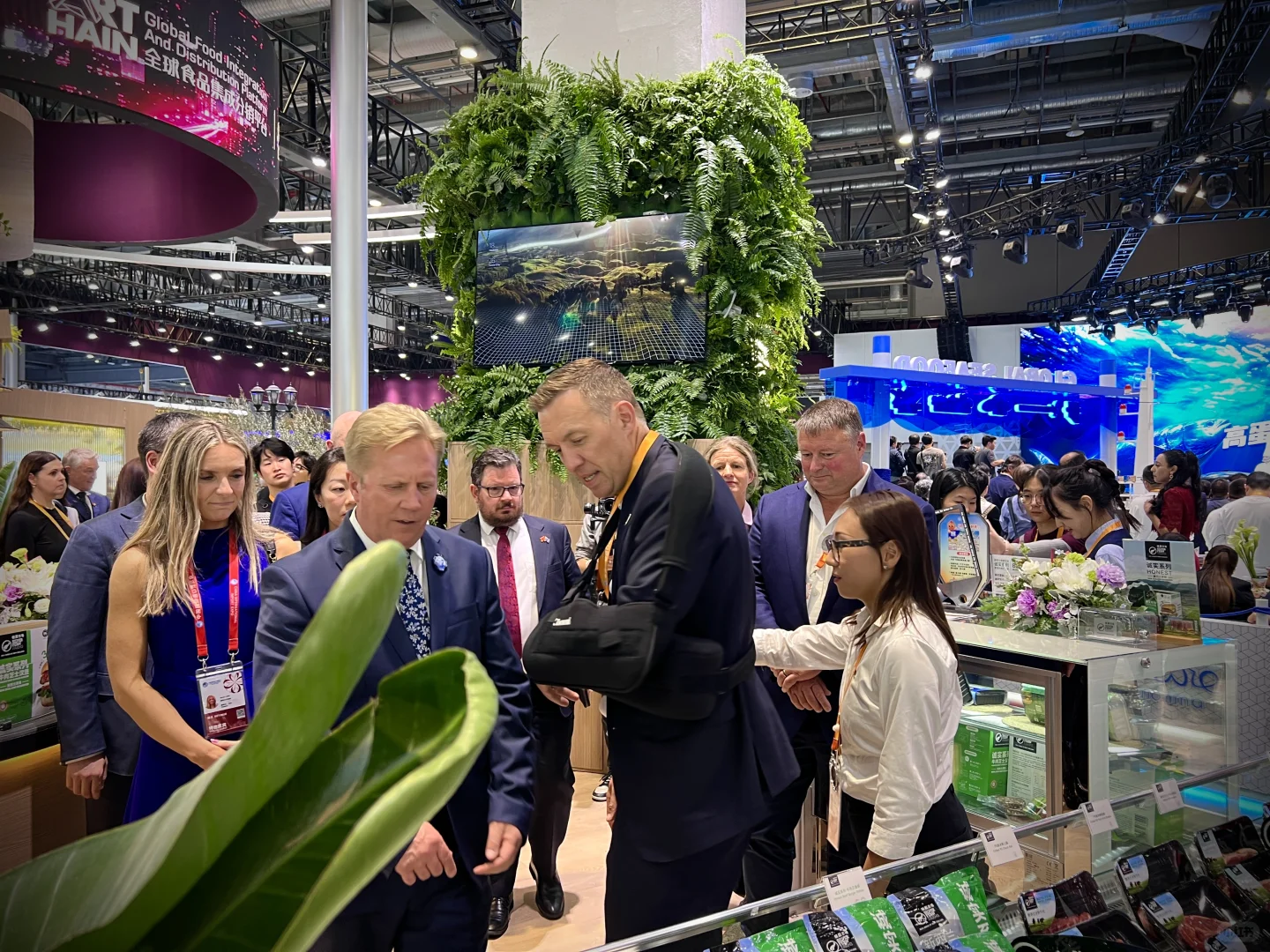 第七届进博会开幕 四叶草再迎“进博时间”