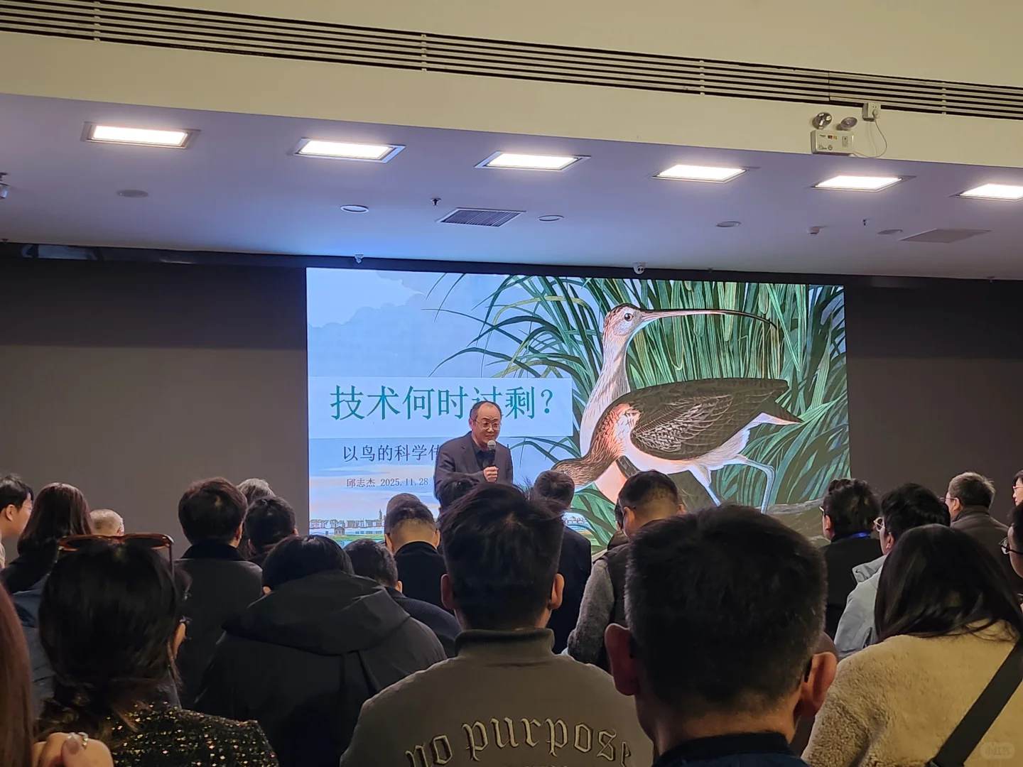 每天在天美很有趣?